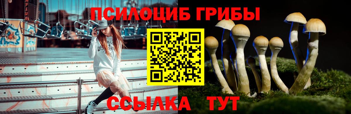 Старый Оскол  Галлюциногенные грибы Psilocybe  Вход с VPN 